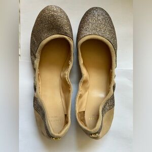 Super cute Cole Haan ballet flat - suede and glitter - Size 6.5 great condition